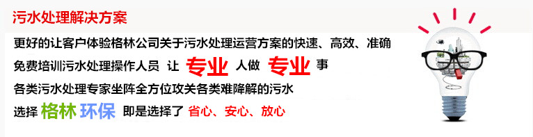 武汉格林环保设施运营有限责任公司  污水处理运营模式   工业污水处理  生活污水处理  